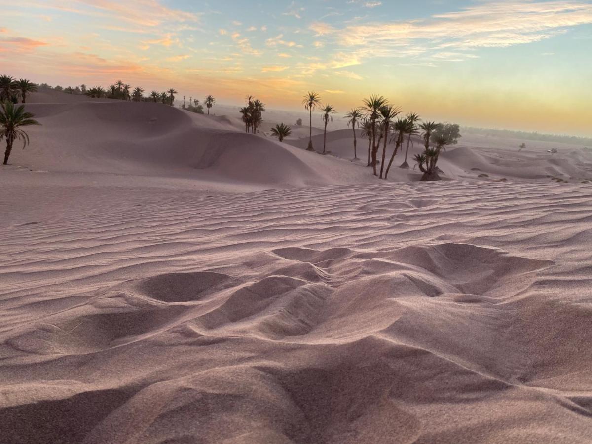 Camp Auberge Sahara Marokko M'Hamid Bagian luar foto