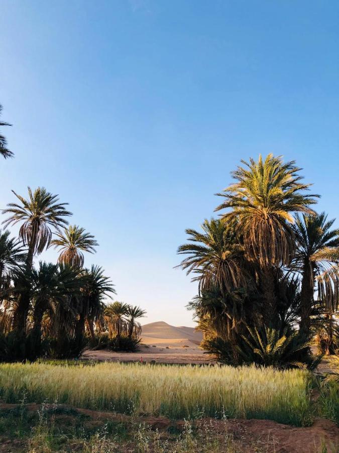 Camp Auberge Sahara Marokko M'Hamid Bagian luar foto